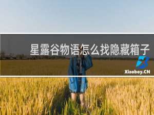 星露谷物语怎么找隐藏箱子