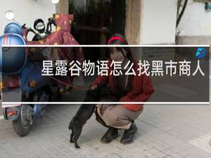 星露谷物语怎么找黑市商人
