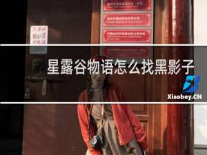 星露谷物语怎么找黑影子
