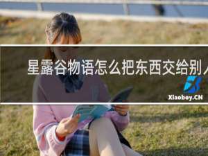 星露谷物语怎么把东西交给别人
