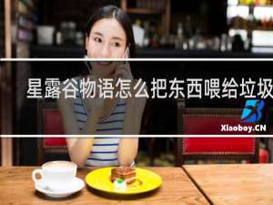 星露谷物语怎么把东西喂给垃圾熊