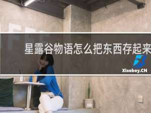 星露谷物语怎么把东西存起来