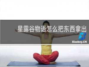 星露谷物语怎么把东西拿出