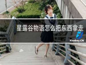 星露谷物语怎么把东西拿走