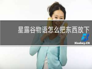 星露谷物语怎么把东西放下