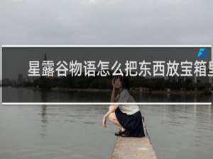 星露谷物语怎么把东西放宝箱里