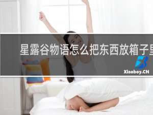 星露谷物语怎么把东西放箱子里