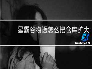 星露谷物语怎么把仓库扩大