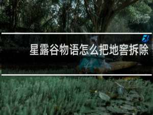 星露谷物语怎么把地窖拆除