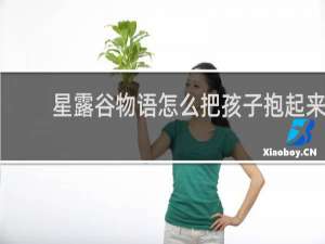 星露谷物语怎么把孩子抱起来