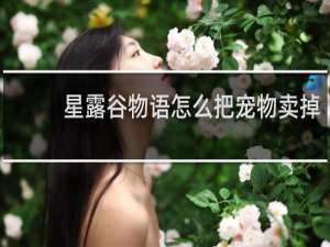 星露谷物语怎么把宠物卖掉