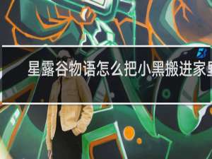 星露谷物语怎么把小黑搬进家里