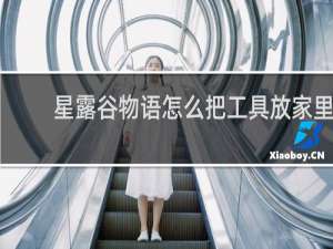 星露谷物语怎么把工具放家里