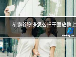 星露谷物语怎么把干草放地上