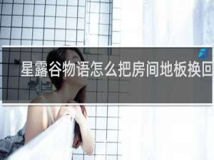 星露谷物语怎么把房间地板换回来
