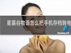 星露谷物语怎么把手机存档转电脑