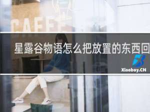 星露谷物语怎么把放置的东西回收