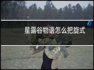星露谷物语怎么把旋式
