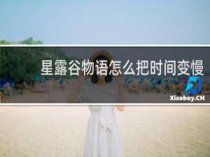 星露谷物语怎么把时间变慢