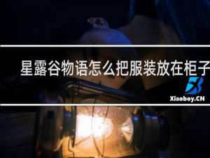 星露谷物语怎么把服装放在柜子里