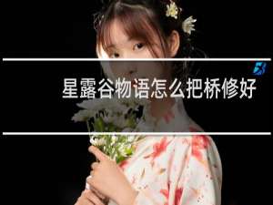 星露谷物语怎么把桥修好