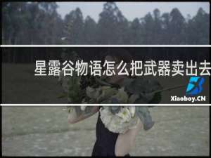 星露谷物语怎么把武器卖出去