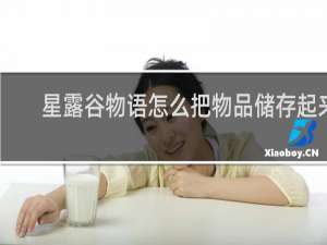 星露谷物语怎么把物品储存起来