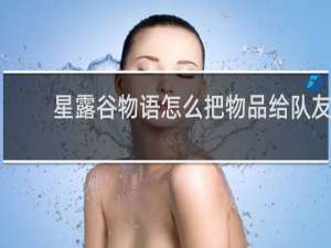 星露谷物语怎么把物品给队友