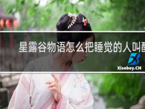星露谷物语怎么把睡觉的人叫醒