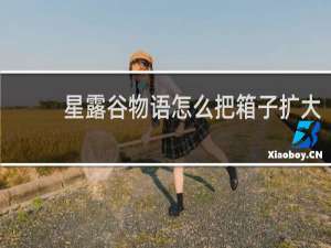 星露谷物语怎么把箱子扩大