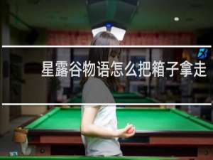 星露谷物语怎么把箱子拿走