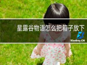 星露谷物语怎么把箱子放下
