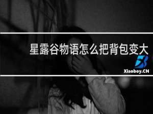 星露谷物语怎么把背包变大