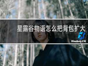 星露谷物语怎么把背包扩大