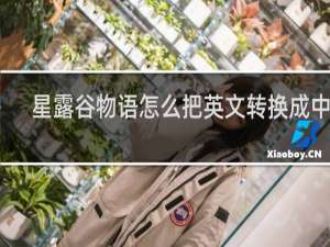 星露谷物语怎么把英文转换成中文
