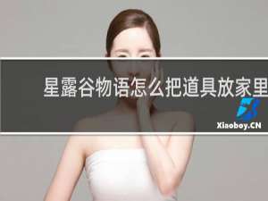 星露谷物语怎么把道具放家里