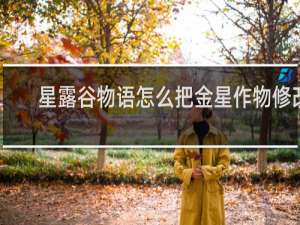 星露谷物语怎么把金星作物修改