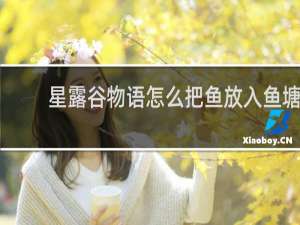 星露谷物语怎么把鱼放入鱼塘