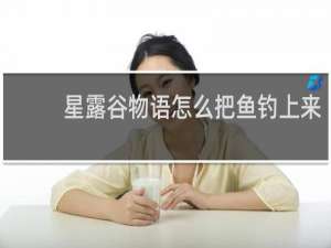 星露谷物语怎么把鱼钓上来