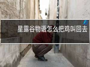 星露谷物语怎么把鸡叫回去