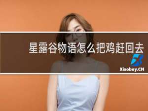 星露谷物语怎么把鸡赶回去