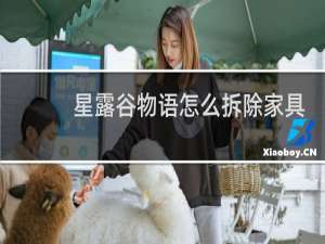 星露谷物语怎么拆除家具