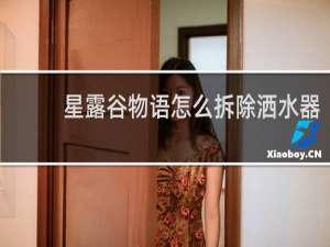 星露谷物语怎么拆除洒水器
