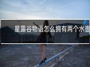 星露谷物语怎么拥有两个水壶