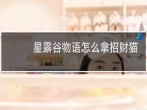 星露谷物语怎么拿招财猫
