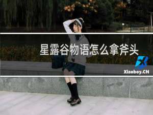 星露谷物语怎么拿斧头