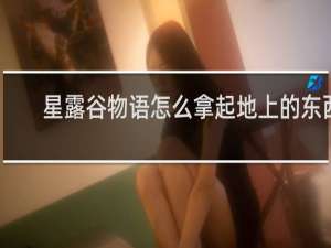 星露谷物语怎么拿起地上的东西