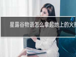 星露谷物语怎么拿起地上的火把