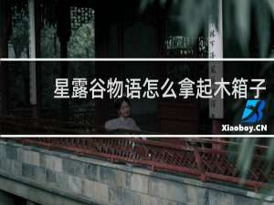 星露谷物语怎么拿起木箱子