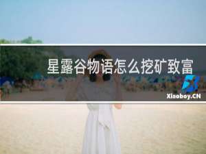 星露谷物语怎么挖矿致富